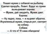 Прикольные и смешные картинки