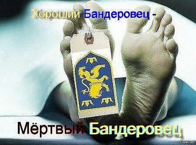 БЕЗ СЛОВ...