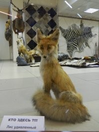 Вот и я о том, и сейчас и потом....