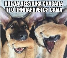 И как такие права получают: Женщина не смогла выехать с парковки
