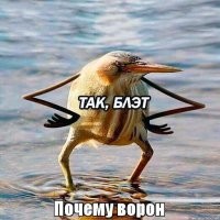 по прямой - 972 км из Челябинска 
... были