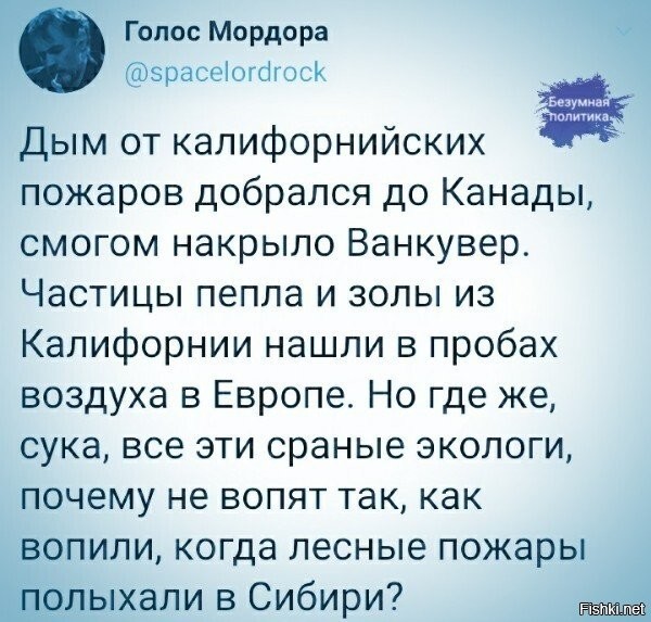 Политические комментарии из инета