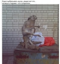 Фотографии безобидных вещей и живых существ, способные напугать