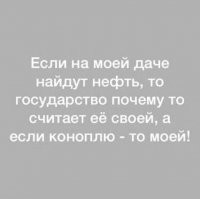 У замглавы наркоконтроля нашли две плантации конопли