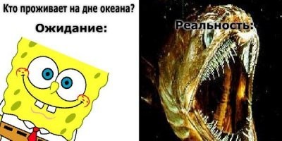 Внук легендарного Жака-Ива Кусто строит исследовательскую базу на дне океана
