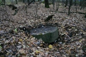 Да особо нечего смотреть. Они уже сглаживаются от времени. Ещё можно встретить бетонные пулеметные колпаки. 
Может как-нибудь сделаю пост.