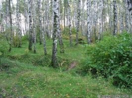 Да особо нечего смотреть. Они уже сглаживаются от времени. Ещё можно встретить бетонные пулеметные колпаки. 
Может как-нибудь сделаю пост.