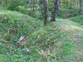 Да особо нечего смотреть. Они уже сглаживаются от времени. Ещё можно встретить бетонные пулеметные колпаки. 
Может как-нибудь сделаю пост.