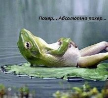 "Тянкекс" или "Тинь-Янь"? Реакция соцсетей на слияние "Яндекса" и "Тинькофф банка"