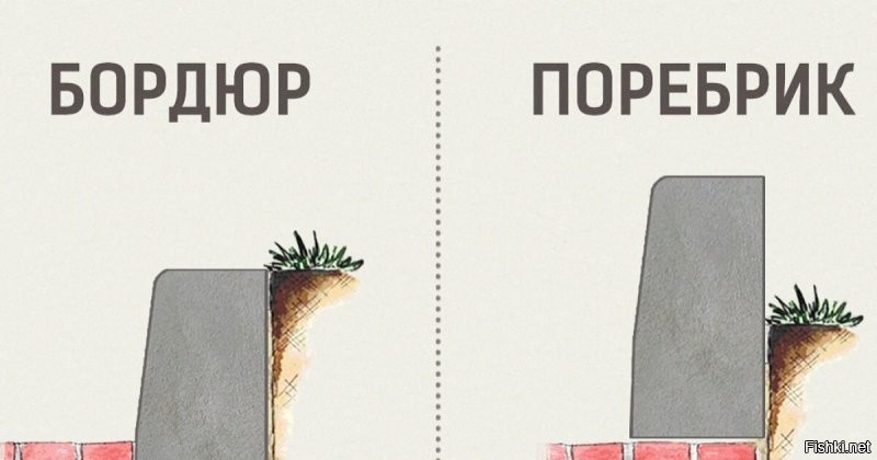 Вот наглядная разница между бордюром и поребриком