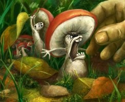 Самый крупный живой организм на планете