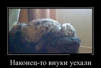 Прикольные и смешные картинки