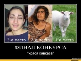 Прикольные и смешные картинки