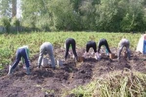 На поле нужно выходить только так