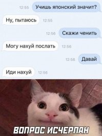 Прикольные и смешные картинки