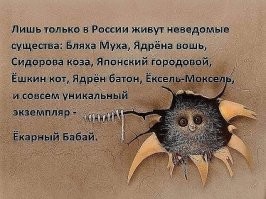 Так вот оказывается как он выглядит