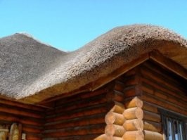 Камыш на крыше он пилил
Очень красиво получается
.
