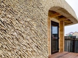 Камыш на крыше он пилил
Очень красиво получается
.