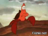 Сколько банок с тунцом способно поместиться под одеждой воровки