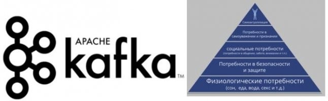 Прикольные и смешные картинки