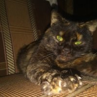 У меня почти такая же)))