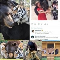 Там, вообще, странная семейка...