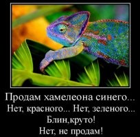 Прикольные и смешные картинки