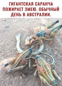 Ну нахер!!!