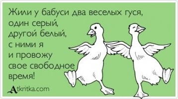 Прикольные и смешные картинки