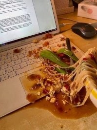 Правильно. Сначала надо сфотографировать залитый ноут, а потом уже обесточивать. А еще лучше, подождать пока он задымиться. Фото будет гораздо эффектнее.