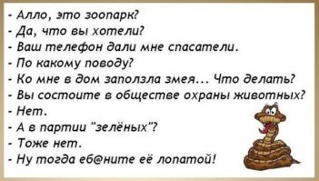 Гигантские крабы испортили пикник австралийской семье