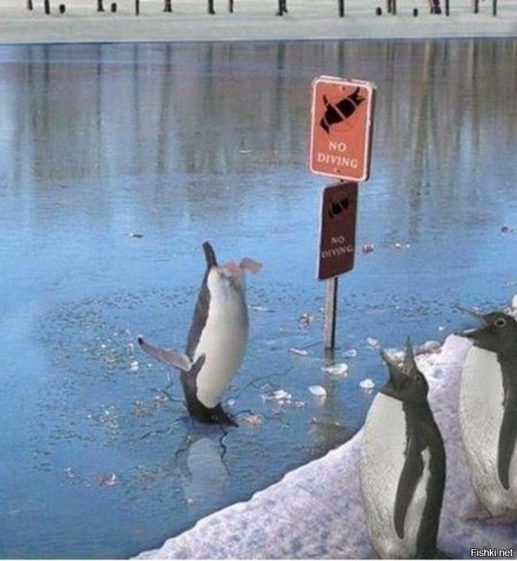 Ситуёвина
