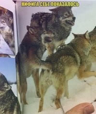 Удачный кадр