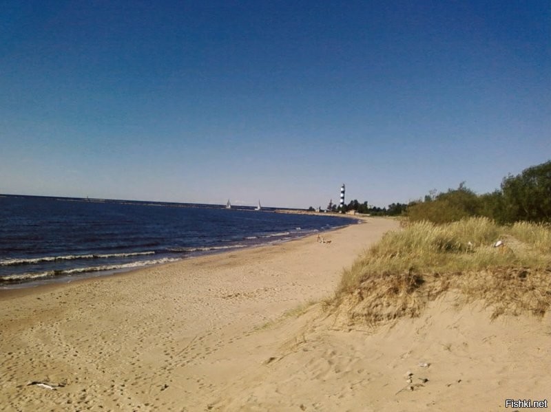 "В огромном городе пляж никогда не бывает пустым. Даже когда становится холодно".
 Холодно это как? У нас зимой в хорошую погоду гуляющего народу по берегу залива тоже хватает.
Каждый хвалит своё... Правда фотографии старые, но море от этого не изменилось.
