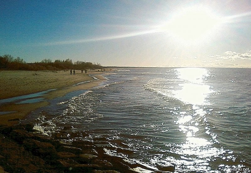 "В огромном городе пляж никогда не бывает пустым. Даже когда становится холодно".
 Холодно это как? У нас зимой в хорошую погоду гуляющего народу по берегу залива тоже хватает.
Каждый хвалит своё... Правда фотографии старые, но море от этого не изменилось.