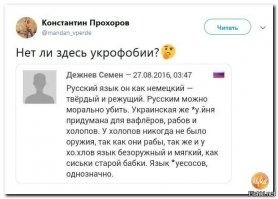 Прикольные и смешные картинки