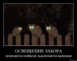 Прикольные и смешные картинки