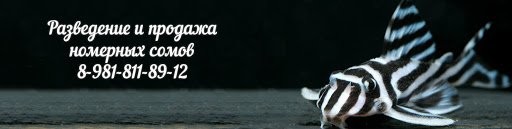 Вот она, сомореализация...
