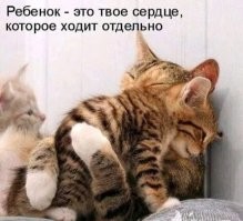 В кадре-счастье!