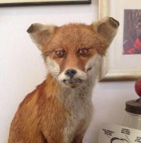 Да что Вы понимаете, в Шотландских ученых..