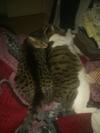 У нас вот так спят)))