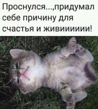 Прикольные и смешные картинки
