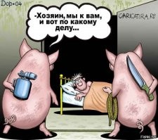 Прикольные и смешные картинки