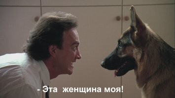 Вспомнил К-9....