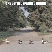 Чего мы не знали (возможно) о Битлз