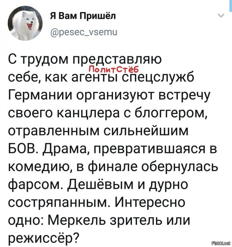 Политические комментарии из инета