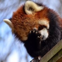 В Сахалинской школе учительница вытащила топор, когда ученик неправильно прочитал слово