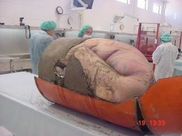 ты в себе?! если сильно невтерпеж, то вот так! а твоё лепилово 3 мес. строить, да ещё и дорого!!!