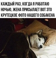 а там еще такие жены есть? очень надо!