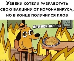 а узбеки-то умнее очень многих!